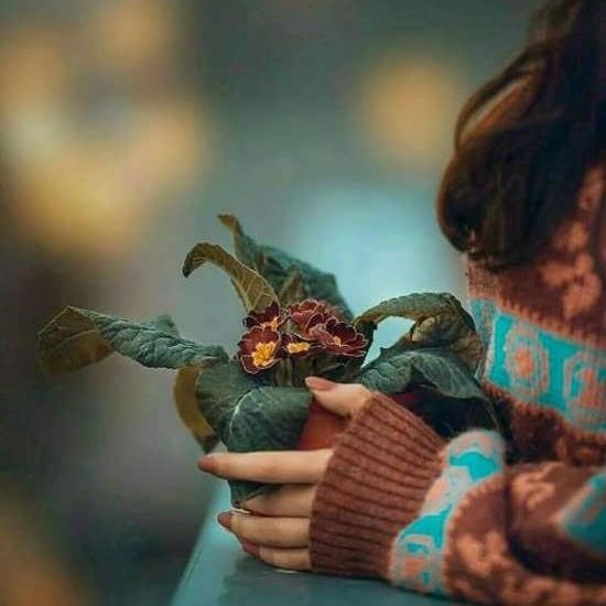 دانلود اهنگ الکل بهم نمیسازه در کل ولی خب بهتره از گل